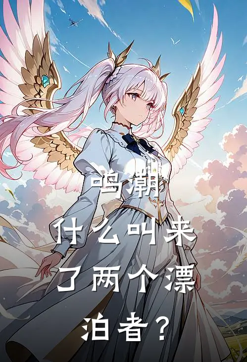 鸣潮：什么叫来了两个漂泊者？