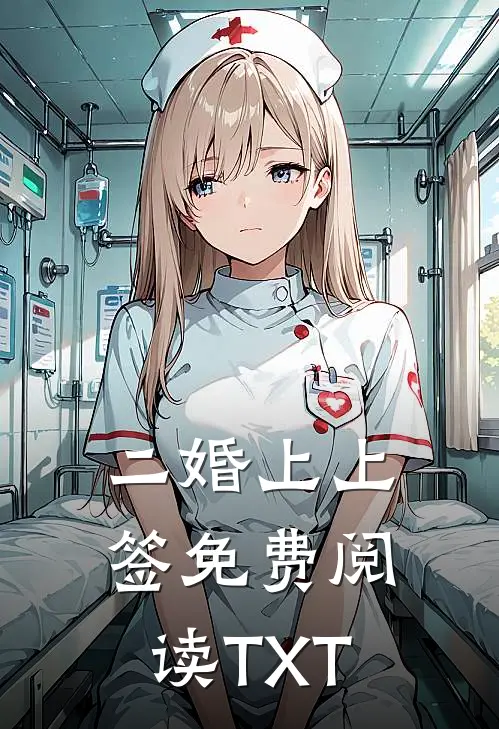 二婚上上签免费阅读TXT